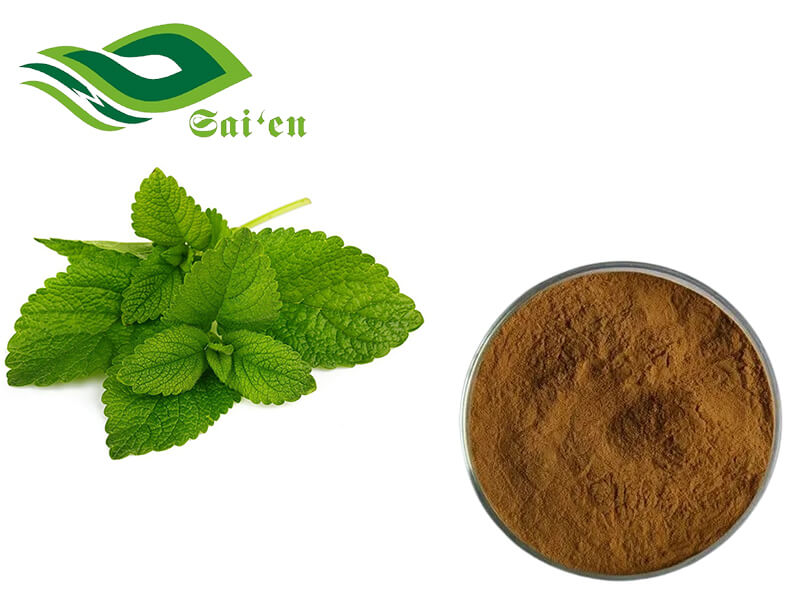 Mint extract powder