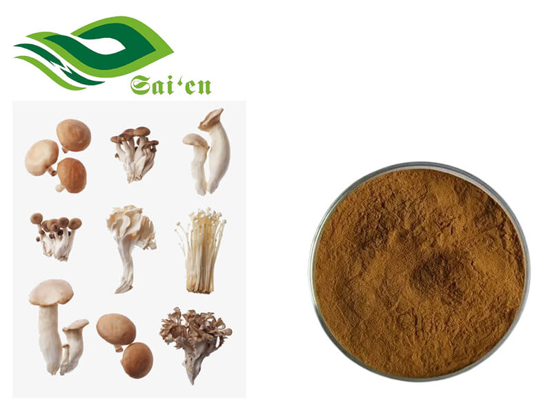 Mushroom Powder
