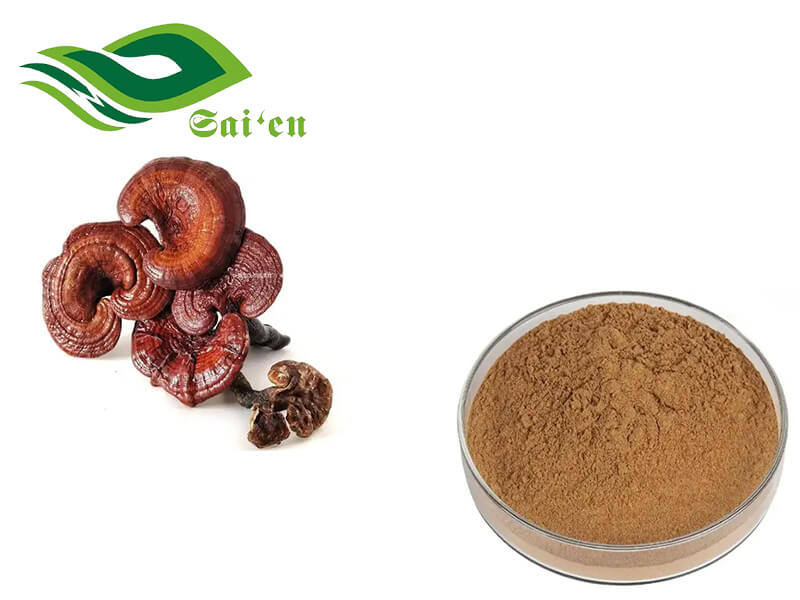 Reishi Shell Broken Spore Powder
