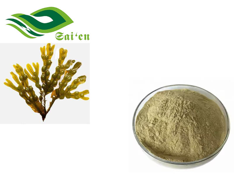 Fucoxanthin