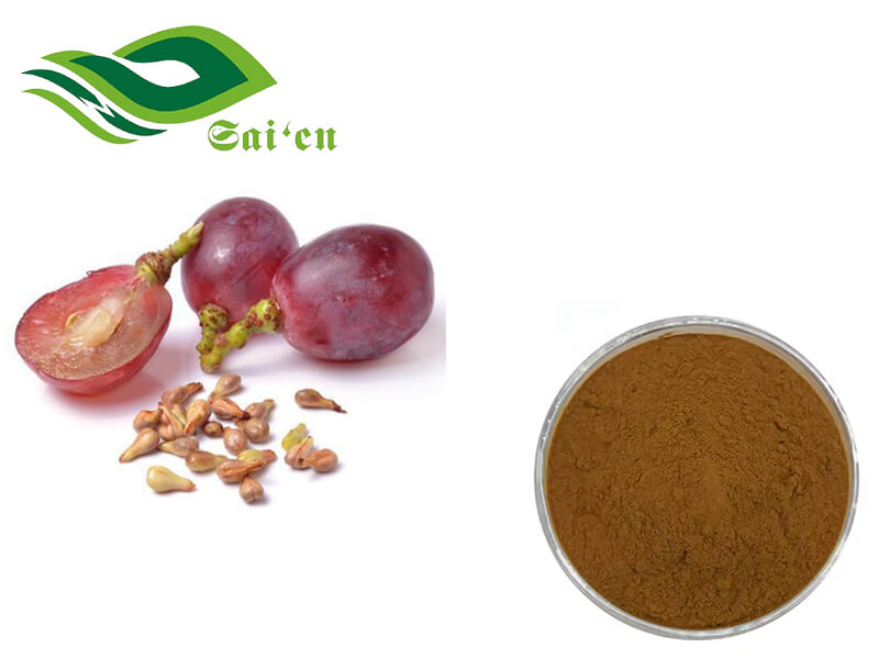Grape seed extract powder