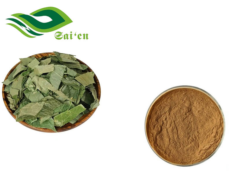Icariin Powder