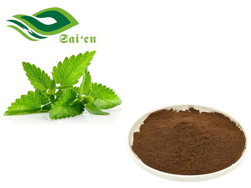 Lemon Balm Extract