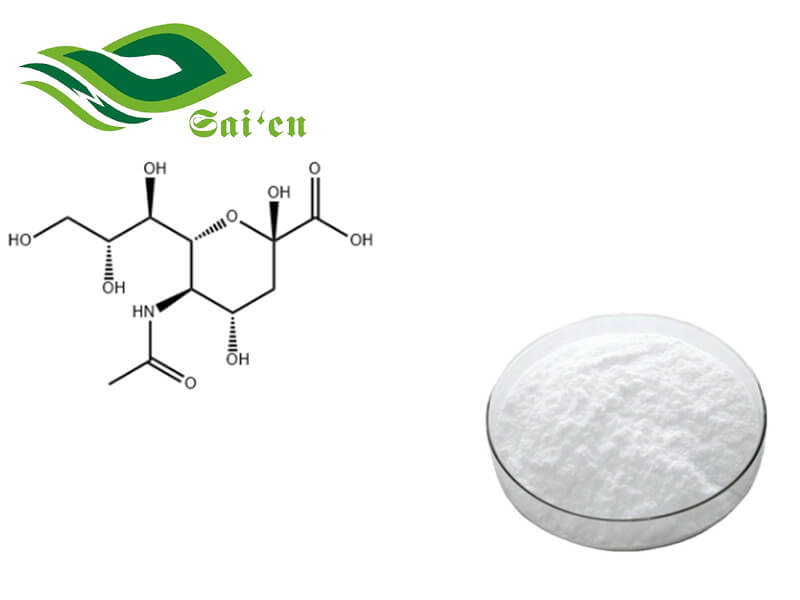 N-acetylneuraminic Acid