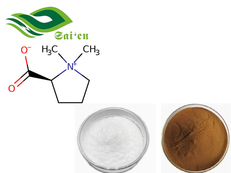 Stachydrine Hydrochloride