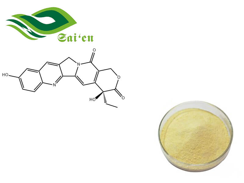 10-hydroxycamptothecin